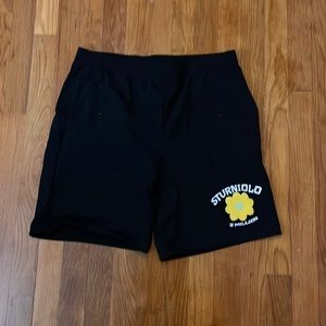 Sturniolo Triplet 2 Mil Shorts